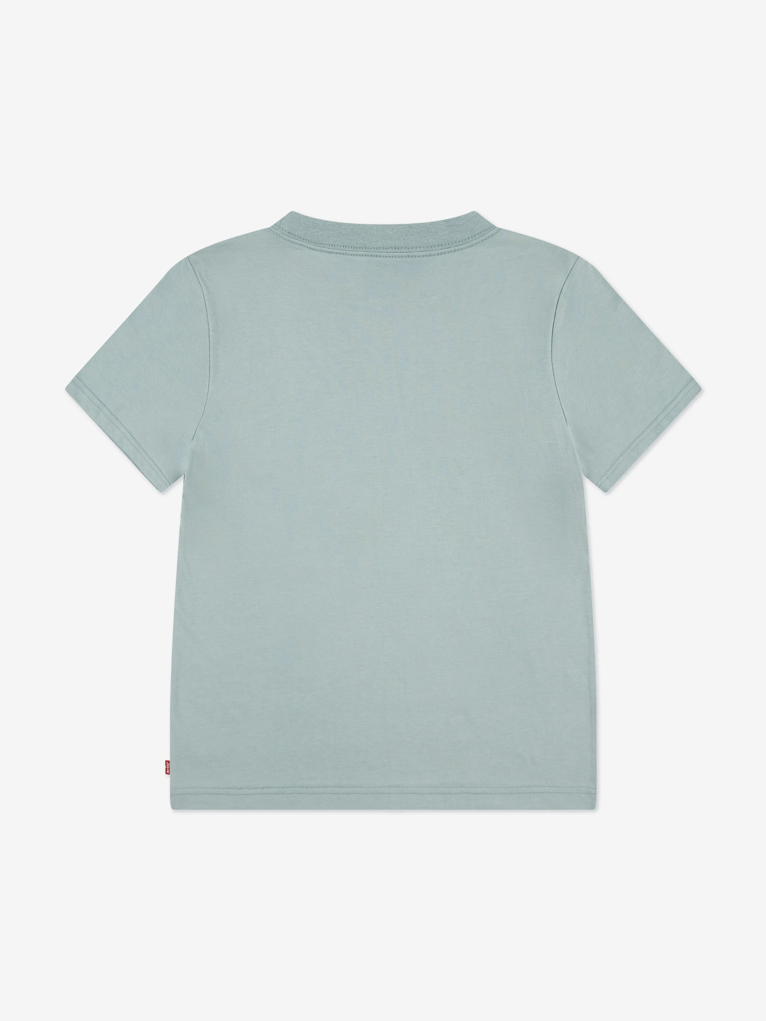 Levi's Boys Batwing Chest Hit T-Shirt in Green
