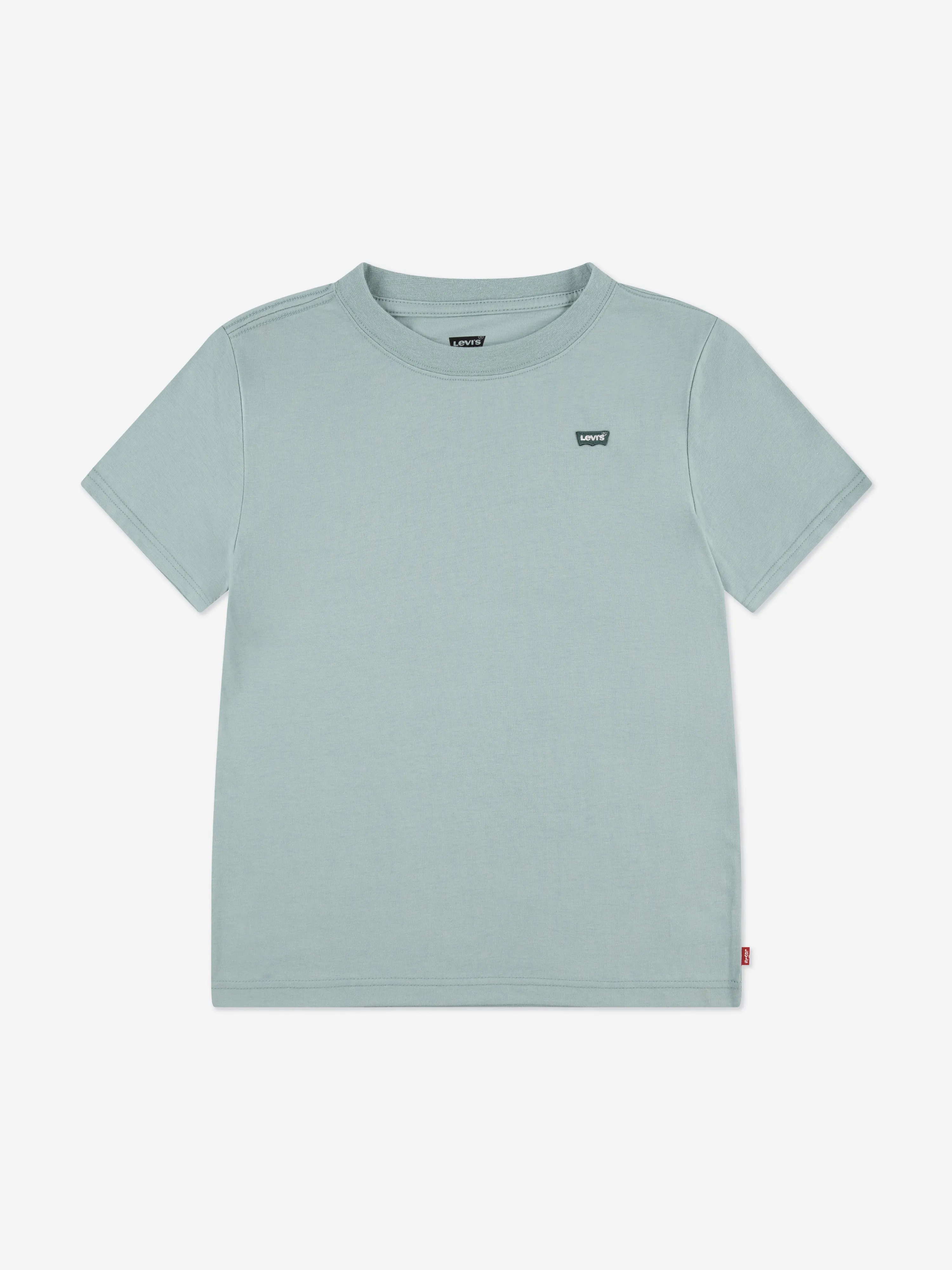 Levi's Boys Batwing Chest Hit T-Shirt in Green